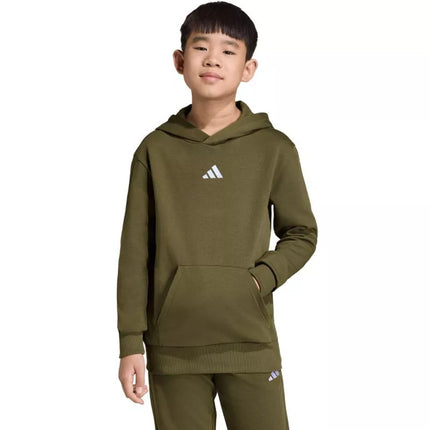 adidas Essentials džemperis su gobtuvu 225 alyvinis KS0367