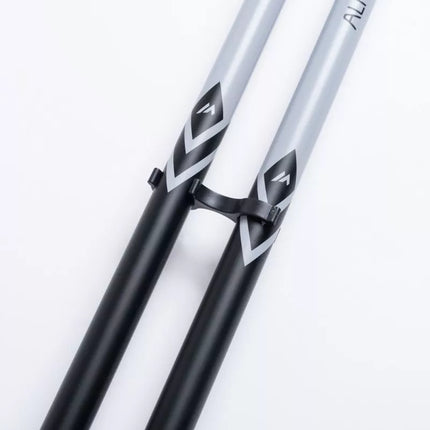 ALPINE SKI II poles