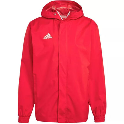Adidas Entrada 22 Visiems Orams Striukė Vyrams IK4009