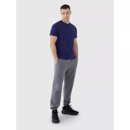 Men's cotton T-shirt 4F 4FWMM00TTSHM2256-31S