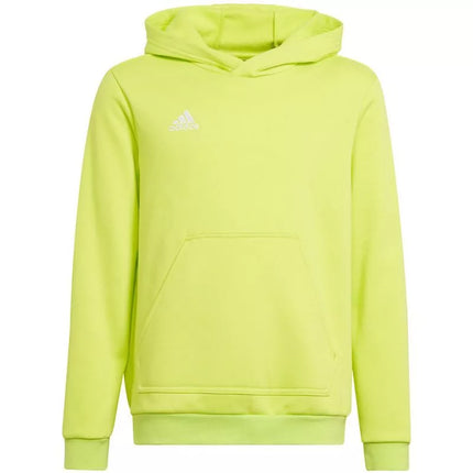 Adidas Entrada 22 Hoody Jr HC5069 džemperis