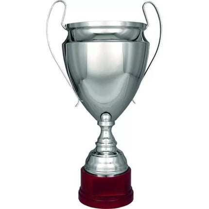 Silver metal cup TS