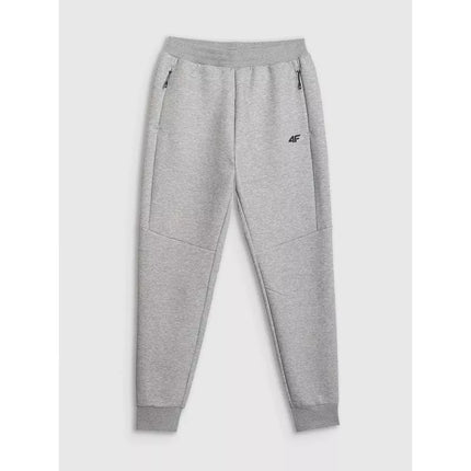 Vyriškos jogger tipo kelnės 4F 4FRMM00TTROM1623-27M