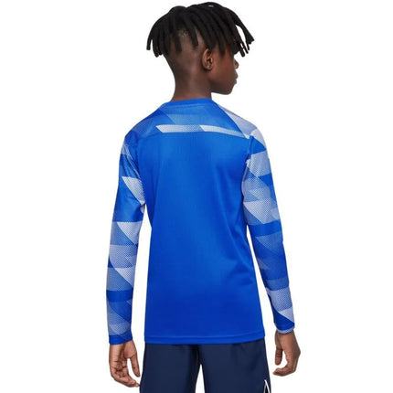 Nike Dry Park IV JSY LS GK Jr CJ6072-463