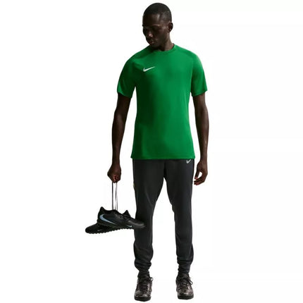 Vyriški Nike Dri-Fit Park VIII marškinėliai žali HV8173 302
