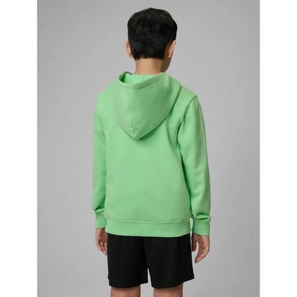 Boy's regular hooded sweatshirt 4F 4FJRSS26TSWSM2748-41S