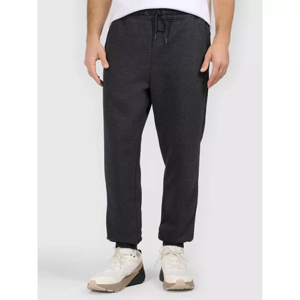Men's jogger sweatpants 4F 4FRAW25TTROM1696-22S