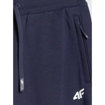 Men's jogger sweatpants 4F 4FRMM00TTROM1624-31S