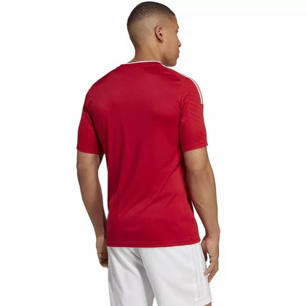 Marškinėliai Adidas Campeon 23 M HR2622