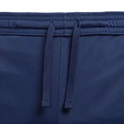 Nike Dri-Fit Academy 25 M Šortai FZ9776 410