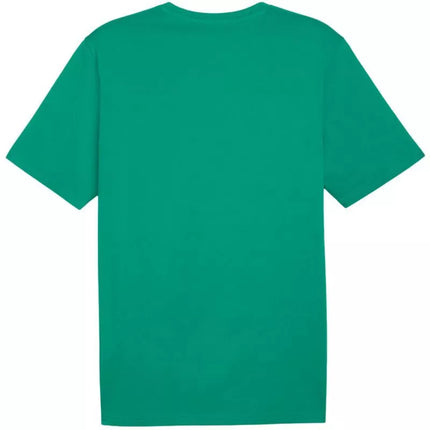 Marškinėliai Puma Team Rise Logo Jersey Cotton M 658705 05