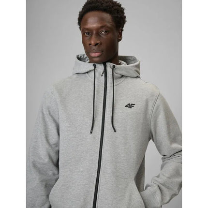 Men's regular hooded sweatshirt 4F 4FRMM00TSWSM3058-27M