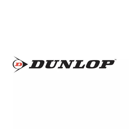 Football goal with net 300x200x110 cm Allround Dunlop - 0666
