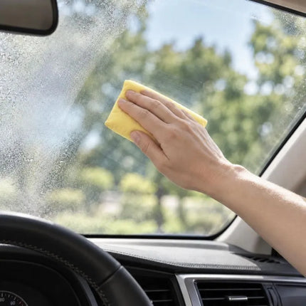 DUNLOP SPONGE FOR FOGGED WINDOWS 12X9X4CM