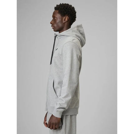 Men's regular hooded sweatshirt 4F 4FRMM00TSWSM3058-27M