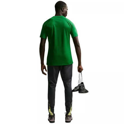 Vyriški Nike Dri-Fit Park VIII marškinėliai žali HV8173 302