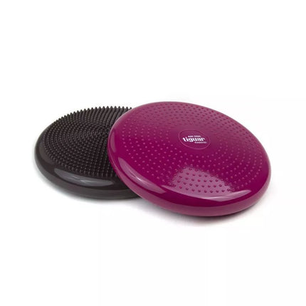 Tiguar stabilizuojantis diskas (oro diskas) DR-GT0001