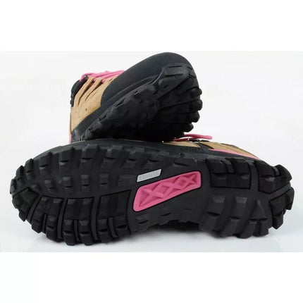 Aku Alterra Lite GTX W moteriški žygio batai 716457