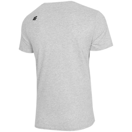 Marškinėliai 4F M H4Z22 TSM353 27M