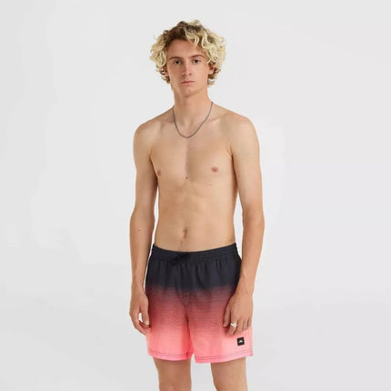 O'Neill Jack Cali Gradient 15'' maudymosi šortai M 92800613579