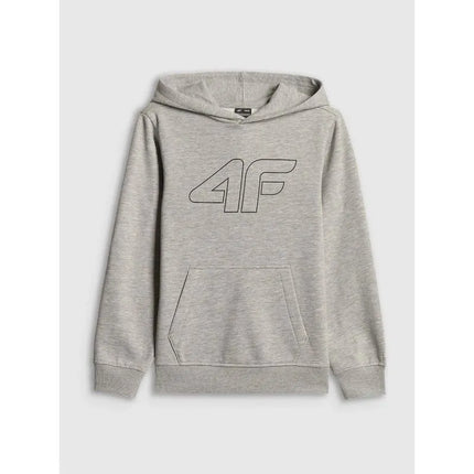 Boy's regular hooded sweatshirt 4F 4FJRSS26TSWSM2748-25M
