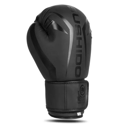 10oz Boxing Gloves - Raptor - Origin Series