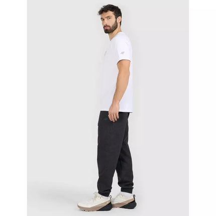 Men's jogger sweatpants 4F 4FRAW25TTROM1696-22S