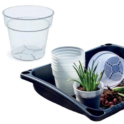 PLANTI POT TRANSPARENT 12CM