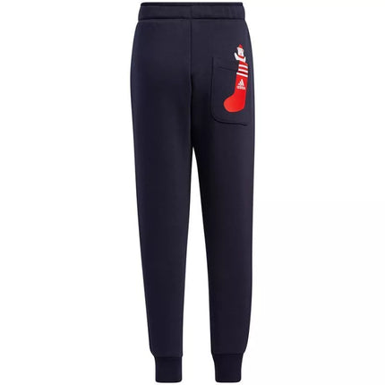 Adidas LK Holiday Set Jr. sportinis kostiumas H40344