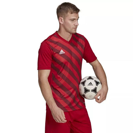 Adidas Entrada 22 grafiniai marškinėliai M HB0572