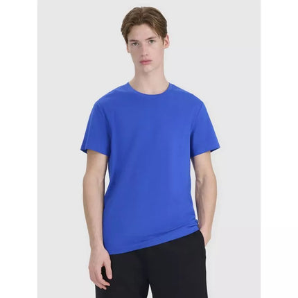 Men's regular printed T-shirt 4F 4FWSS25TTSHM2239-36S