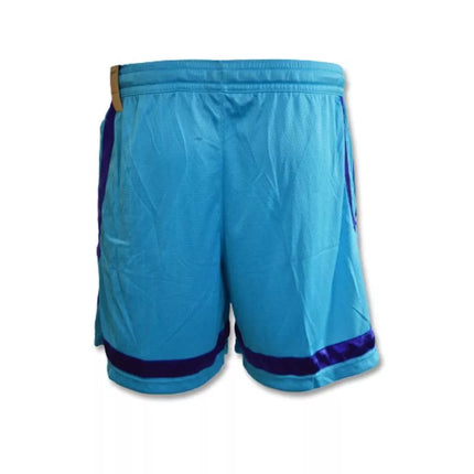 Nike Fly Crossover Šortai Moteriški - DJ3902-434