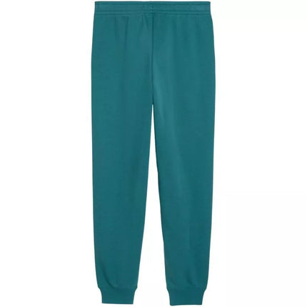 Puma ESS 2 Color No. 1 Logo Kids Pants Green 693892 41