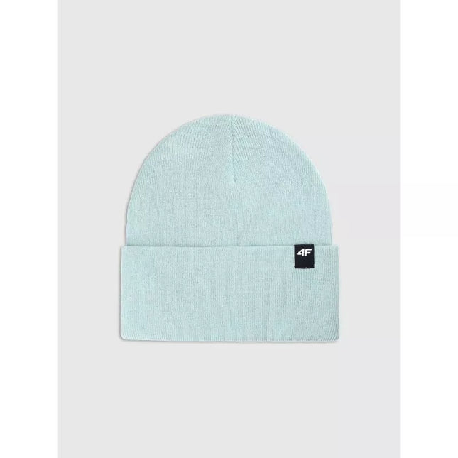 Unisex winter hat 4F 4FWAW24ACAPU512-42S