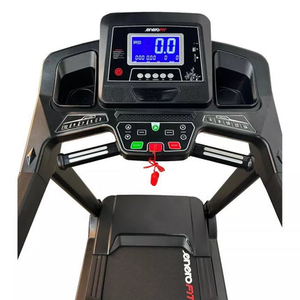 W800 ENERO FIT ELECTRIC TREADMILL