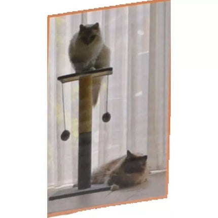 DRASKYKLĖ KATEI 59CM 2 KAMUOLIUKAI