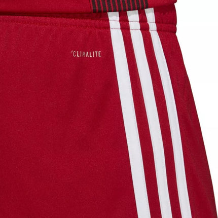adidas Tastigo 19 Šortai M DP3681