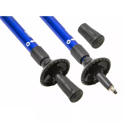 Classic blue trekking poles