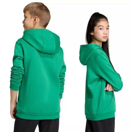 Adidas Entrada 26 Hoody green JZ6563 kids' sweatshirt
