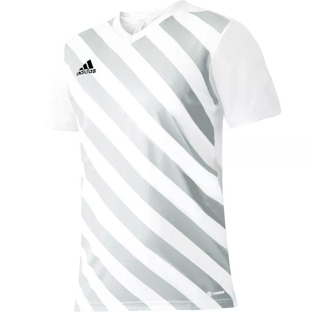 Adidas Entrada 22 Graphic marškinėliai Jr HF0120