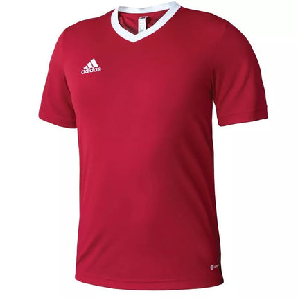 Adidas Entrada 22 vyriški marškinėliai H61736