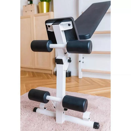 GYMNASTIC LADDER WITH A HAND BAR AND A BENCH FOR EXERCISES BENCHK 723W