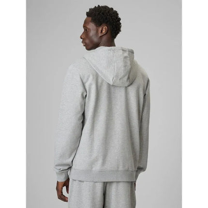 Men's regular hooded sweatshirt 4F 4FRMM00TSWSM3058-27M