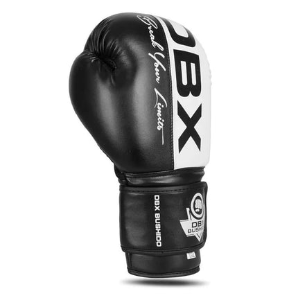10oz Boxing Gloves - Harmony - Valor Series