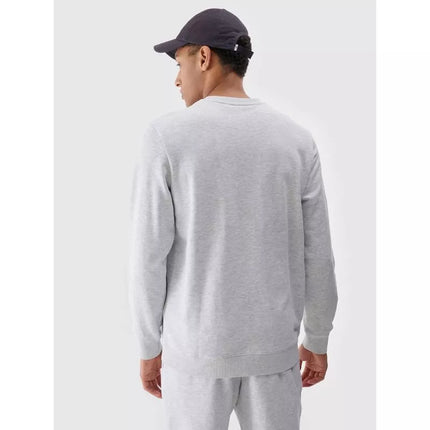 Men's sweatshirt without zipper, without hood, 4F 4FWMM00TSWSM1767-27M