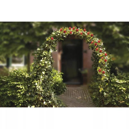 KINZO ROSES PERGOLA GATE