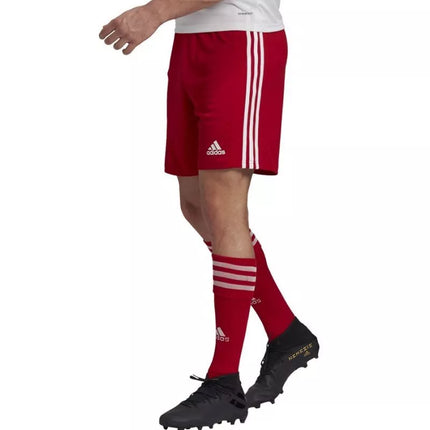 Adidas Squadra 21 Šortai M GN5771