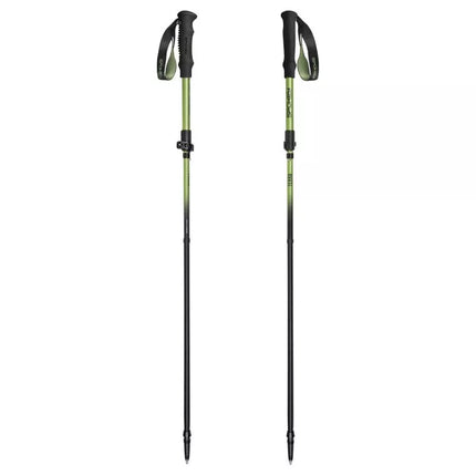 Žygio lazdos Spokey Terra SPK-944825