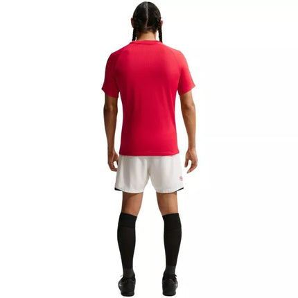 Nike Dri-Fit Park VIII Men's T-Shirt Red HV8173 657