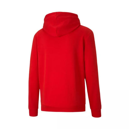 Puma TeamGoal 23 Casuals M 656580-01 džemperis